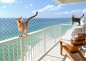 Untitled design (77)