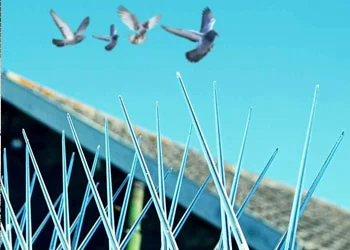 Untitled design (76)