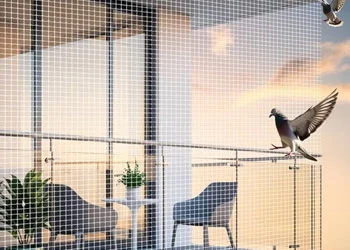 Untitled design (81)