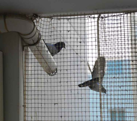 Untitled design (76)