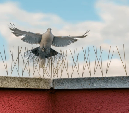 Untitled design (78)