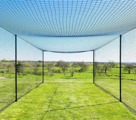 Untitled design (79)